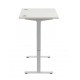 Rise Electric Twin Motor Height Adjustable Desk
